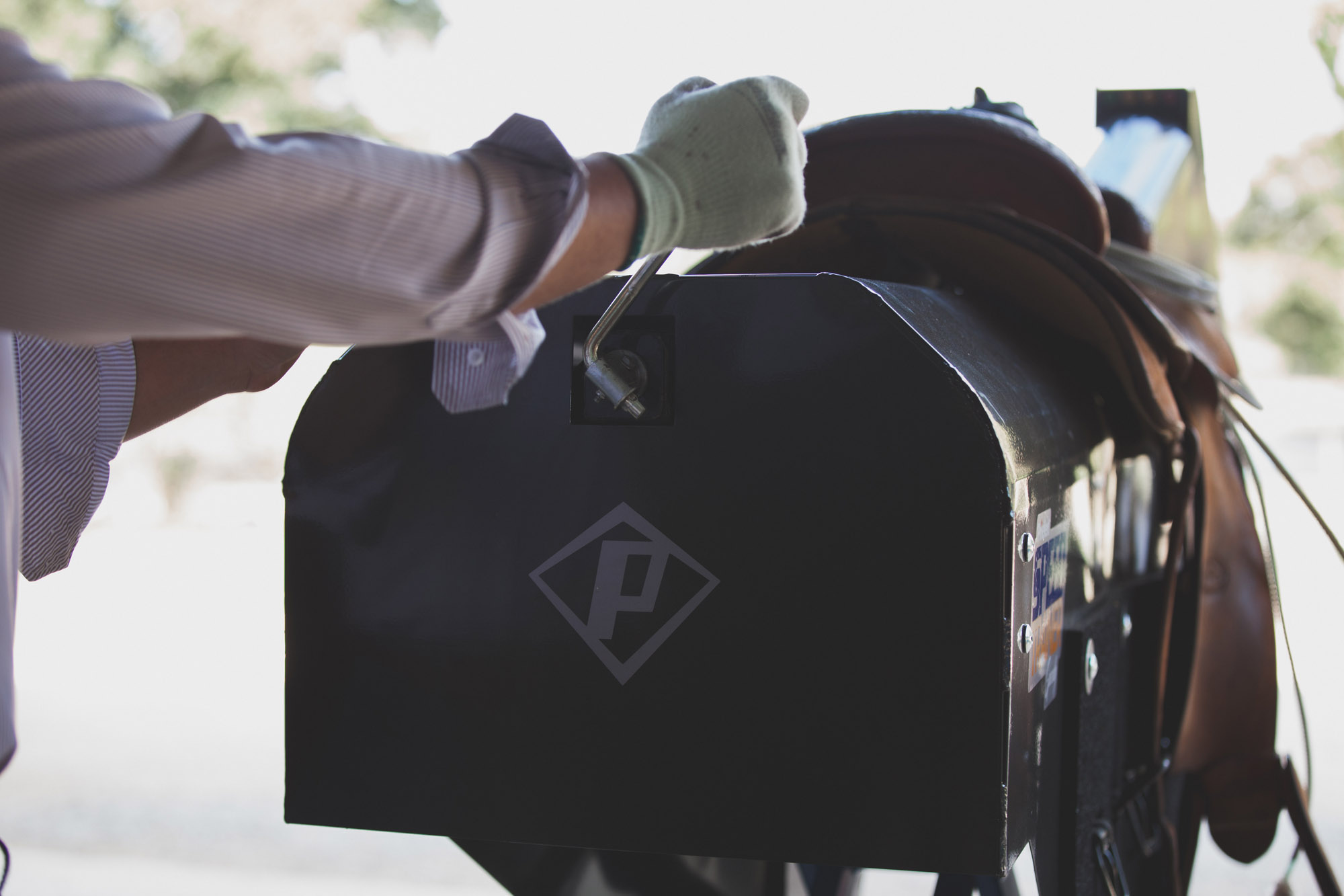 Speed Trainer 06.jpg